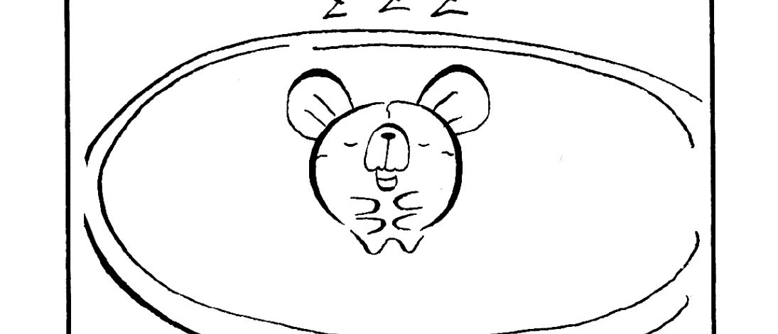 1116／車の中で使うお湯問題。迷ったが決めた理由