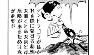 MMM1411／マンドラゴラ