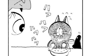 MMM1780/猫又の新能力