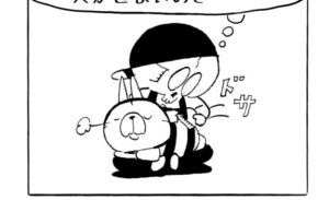 MMM1995/ブラッシング