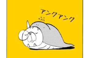 MMM2036／ジャッジ