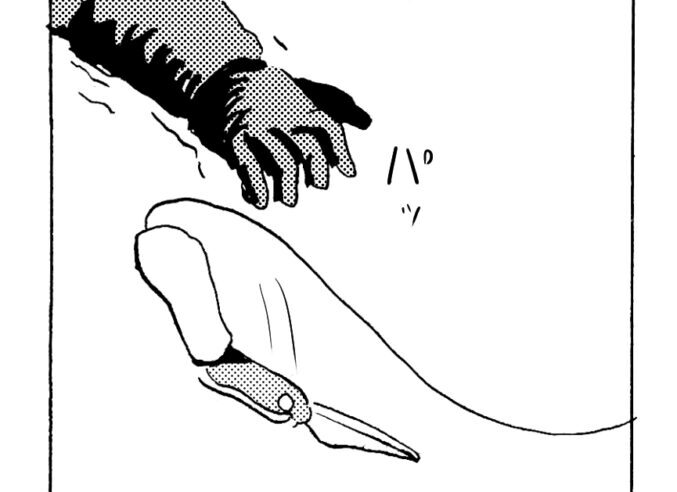 MMM2469／千載一遇