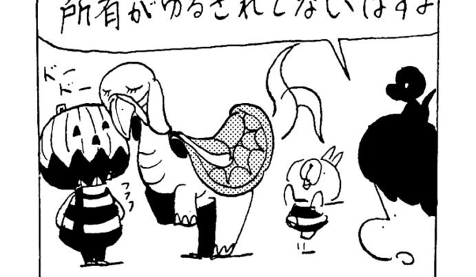 MMM2344／ノスター