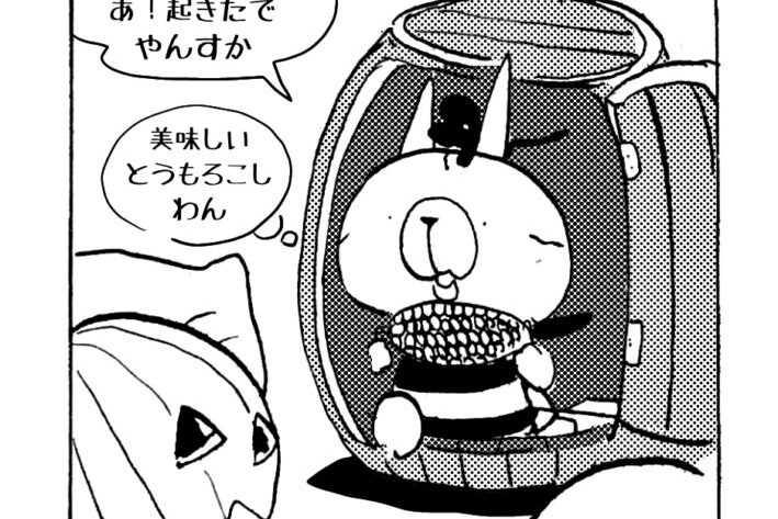 MMM2480／pumpkingdum3-6