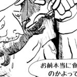 MMM3056/名物