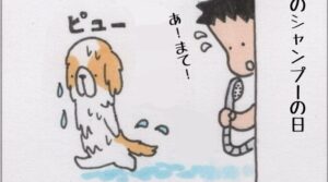 #3375 ／衣類乾燥機の日