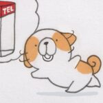 #3377 ／3分間電話の日